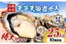 浜崎水産の天草天領岩かき 約2.5kg 《2026年4月上旬-7月末頃出荷予定》 【配送不可地域あり】 海鮮 海産物 海の幸 シーフード 魚貝類 かき 牡蠣 岩かき 岩牡蠣 夏牡蠣 生食用 生もの 濃厚 熊本県 苓北町