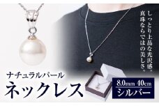 真珠 ナチュラルパール 8.0mm ネックレス40cm（SV） 有限会社 苓北真珠《90日以内に出荷予定(土日祝除く)》 貝 真珠 パール 天然 ネックレス アクセサリー 熊本県 苓北町