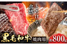 黒毛和牛 焼肉用 約800g  坂西商店《90日以内に出荷予定(土日祝除く)》 【配送不可地域あり】 熊本県 苓北町 肉 にく お肉 おにく 牛 牛肉 和牛 焼肉 やきにく ロース カルビ