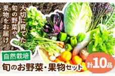 【自然栽培】 旬のお野菜・果物セット 計10品 野菜 やさい ヤサイ フルーツ 果物 くだもの 旬 セット 熊本県 苓北町 福田果樹園 《90日以内に出荷予定(土日祝除く)》