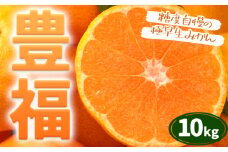 極早生みかん 「 豊福 」 10kg 箱入り 都呂々みかん生産者グループ《10月中旬-11月下旬頃出荷》 フルーツ 果物 くだもの 柑橘 みかん ミカン 蜜柑 熊本県 苓北町【配送不可地域あり】