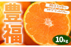 極早生みかん 「 豊福 」 10kg 箱入り 都呂々みかん生産者グループ《2025年10月中旬-11月下旬頃出荷》 フルーツ 果物 くだもの 柑橘 みかん ミカン 蜜柑 熊本県 苓北町【配送不可地域あり】