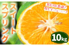 スイートスプリング  10kg 都呂々みかん生産者グループ 箱入り 《2025年12月上旬-2026年1月下旬頃出荷予定》　| フルーツ 果物 くだもの 柑橘 みかん ミカン 蜜柑 熊本県 苓北町