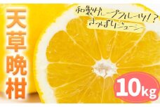 天草晩柑 約10㎏ | フルーツ 果物 くだもの 柑橘 晩柑 《3月上旬-5月下旬頃出荷》 和製グレープフルーツ みかん ミカン 蜜柑 熊本県 苓北町 天草