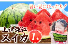天草産上津深江 スイカ 1玉 髙橋商店 《2026年6月末-8月中旬頃出荷》熊本県 苓北町 フルーツ 果物 くだもの スイカ すいか 西瓜 盆すいか 上津深江スイカ