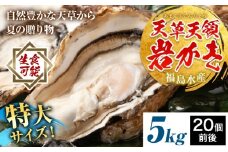 天領岩牡蠣 約5kg 福島水産《2026年4月上旬-7月末頃出荷予定》熊本県 苓北町 牡蠣 かき カキ 岩カキ 岩ガキ 貝 BIG ビッグ 生食 バーベキュー 夏天草 天領 苓北 熊本 旬 シーズン 送料無料【配送不可地域あり】