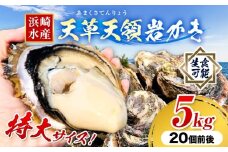 浜崎水産の天草天領岩かき 約5kg 《2026年4月上旬-7月末頃出荷予定》 【配送不可地域あり】 海鮮 海産物 海の幸 シーフード 魚貝類 かき 牡蠣 岩かき 岩牡蠣 夏牡蠣 生食用 生もの 濃厚 熊本県 苓北町