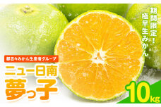 みかん ニュー日南 (夢っ子) 10kg 都呂々みかん生産者グループ《2025年9月中旬-10月上旬頃出荷》フルーツ 果物 くだもの 柑橘 柑橘類 蜜柑 熊本県 苓北町【配送不可地域あり】