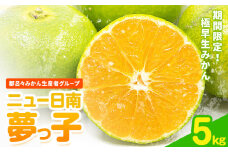 みかん ニュー日南 (夢っ子) 5kg 都呂々みかん生産者グループ《2025年9月中旬-10月上旬頃出荷》フルーツ 果物 くだもの 柑橘 柑橘類 蜜柑 熊本県 苓北町【配送不可地域あり】