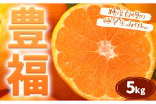 極早生みかん 「 豊福 」 5kg 箱入り 都呂々みかん生産者グループ《2025年10月中旬-11月下旬頃出荷》 フルーツ 果物 くだもの 柑橘 みかん ミカン 蜜柑 熊本県 苓北町【配送不可地域あり】