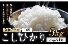 令和7年産 米 コシヒカリ 白米 5kg 鶴地区龍の里ふるさと会《8月中旬-8月末頃出荷》生産者直送 新米 早期米 天草 苓北 鶴 地区 龍 の里 蛍 国産 九州 熊本 名水 百選 5キロ 送料無料