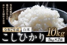 令和7年産 米 コシヒカリ 白米 10kg 鶴地区龍の里ふるさと会《8月中旬-8月末頃出荷》生産者直送 新米 早期米 天草 苓北 鶴 地区 龍 の里 蛍 国産 九州 熊本 名水 百選 5キロ 送料無料