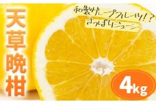 柑橘 天草晩柑 約4kg あまくさ晩柑 晩柑 ばんかん 天草 西海岸 苓北 都呂々 南国 潮風 国産 九州 熊本 果物 フルーツ 送料無料《2026年3月上旬-5月下旬頃出荷予定》