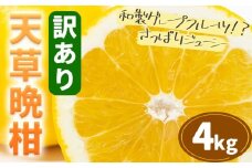 訳あり ご家庭用 柑橘 天草晩柑 約4㎏ あまくさ晩柑 晩柑 ばんかん 天草 西海岸 苓北 都呂々 南国 潮風 国産 九州 熊本 果物 フルーツ 送料無料 都呂々みかん生産者グループ《2026年3月上旬-5月下旬頃出荷》