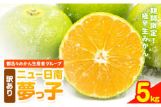 訳あり みかん ニュー日南 (夢っ子) 5kg 都呂々みかん生産者グループ《9月中旬-10月上旬頃出荷》フルーツ 果物 くだもの 柑橘 柑橘類 蜜柑 熊本県 苓北町【配送不可地域あり】