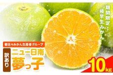 訳あり みかん ニュー日南 (夢っ子) 10kg 都呂々みかん生産者グループ《9月中旬-10月上旬頃出荷》フルーツ 果物 くだもの 柑橘 柑橘類 蜜柑 熊本県 苓北町【配送不可地域あり】