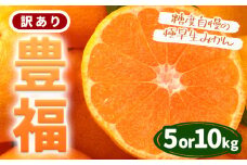 訳あり 極早生みかん 「 豊福 」選べる 5kg 10kg 箱入り 都呂々みかん生産者グループ《10月中旬-11月下旬頃出荷》 フルーツ 果物 くだもの 柑橘 みかん ミカン 蜜柑 熊本県 苓北町【配送不可地域あり】