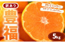 訳あり 極早生みかん 「 豊福 」5kg 箱入り 都呂々みかん生産者グループ《2025年10月中旬-11月下旬頃出荷》 フルーツ 果物 くだもの 柑橘 みかん ミカン 蜜柑 熊本県 苓北町【配送不可地域あり】