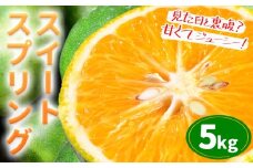 スイートスプリング約5kg 柑橘 かんきつ 果物 フルーツ 品種 生産者直送 産地直送 南国 潮風 天草 西海岸 苓北 都呂々 国産 九州 熊本県 送料無料《12月上旬-1月下旬頃出荷予定》