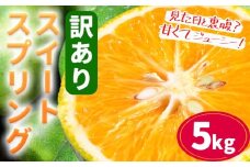 訳あり ご家庭用 スイートスプリング 約5kg 柑橘 かんきつ 果物 フルーツ 品種 生産者直送 産地直送 南国 潮風 天草 西海岸 苓北 都呂々 国産 九州 熊本県 送料無料《12月上旬-1月下旬頃出荷》