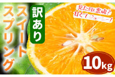 訳あり スイートスプリング  10kg 都呂々みかん生産者グループ《12月上旬-1月下旬頃出荷》  箱入り | フルーツ 果物 くだもの 柑橘 みかん ミカン 蜜柑 熊本県 苓北町