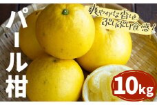パール柑 10kg 都呂々みかん生産者グループ《3月上旬-4月中旬頃出荷》 フルーツ 果物 くだもの 柑橘 みかん ミカン 蜜柑 熊本県 苓北町
