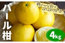 パール柑 約4kg 都呂々みかん生産者グループ《3月上旬-4月中旬頃出荷予定》熊本県 苓北町 みかん 果物 フルーツ