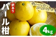訳あり パール柑 約4kg 都呂々みかん生産者グループ《2026年3月上旬-4月中旬頃出荷予定》熊本県 苓北町 みかん 果物 フルーツ