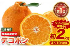 先行予約 デコポン ご家庭用 デコポン 約2kg 前後 (約4-10玉前後) 糖度13度以上 訳あり デコポン 《2026年2月上旬-4月末頃出荷》 個別光センサー選果 みかん 柑橘 フルーツ 旬 不知火 でこぽん 期間限定 厳選