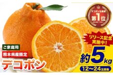 先行予約 デコポン ご家庭用 デコポン 約5kg 前後 (約12-24玉前後) 糖度13度以上 訳あり デコポン 《2026年2月上旬-4月末頃出荷》 個別光センサー選果 みかん 柑橘 フルーツ 旬 不知火 でこぽん 期間限定 厳選