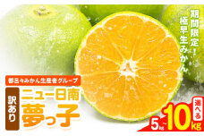 訳あり みかん ニュー日南 (夢っ子) 選べる 5kg 10kg 都呂々みかん生産者グループ《2025年9月中旬-10月上旬頃出荷》フルーツ 果物 くだもの 柑橘 柑橘類 蜜柑 熊本県 苓北町【配送不可地域あり】