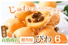 【先行予約】天草産 びわ 6パック 贈答用 贈答用 フルーツ 果物 くだもの びわ ビワ 枇杷 熊本県 苓北町 高橋商店《2026年5月中旬-6月中旬に出荷予定》【配送不可地域あり】