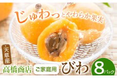 【先行予約】先行予約 天草産 びわ 8パック 家庭用  《2026年5月中旬-6月中旬に出荷予定》 家庭用 フルーツ くだもの 果物 びわ ビワ 枇杷 熊本県 苓北町 高橋商店【配送不可地域あり】