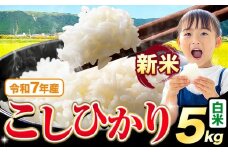 令和7年産 新米 白米 こしひかり 5kg《9月下旬-11月上旬頃出荷》熊本県産 ふるさと納税 無洗米 白米 精米 ひの 米 こめ ふるさとのうぜい コシヒカリ コメ お米 おこめ