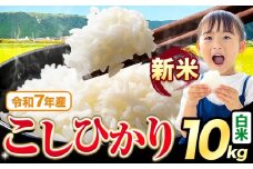 令和7年産 新米 白米 こしひかり 10kg《9月下旬-11月上旬頃出荷》熊本県産 ふるさと納税 無洗米 白米 精米 ひの 米 こめ ふるさとのうぜい コシヒカリ コメ お米 おこめ