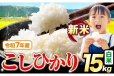 令和7年産 新米 白米 こしひかり 15kg《9月下旬-11月上旬頃出荷》熊本県産 ふるさと納税 無洗米 白米 精米 ひの 米 こめ ふるさとのうぜい コシヒカリ コメ お米 おこめ