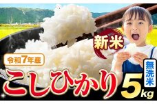 令和7年産 新米 無洗米 こしひかり 5kg《9月下旬-11月上旬頃出荷》熊本県産 ふるさと納税 無洗米 無洗米 精米 ひの 米 こめ ふるさとのうぜい コシヒカリ コメ お米 おこめ