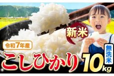 令和7年産 新米 無洗米 こしひかり 10kg《9月下旬-11月上旬頃出荷》熊本県産 ふるさと納税 無洗米 無洗米 精米 ひの 米 こめ ふるさとのうぜい コシヒカリ コメ お米 おこめ