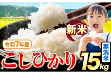 令和7年産 新米 無洗米 こしひかり 15kg《9月下旬-11月上旬頃出荷》熊本県産 ふるさと納税 無洗米 無洗米 精米 ひの 米 こめ ふるさとのうぜい コシヒカリ コメ お米 おこめ