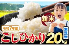 令和7年産 新米 無洗米 こしひかり 20kg《9月下旬-11月上旬頃出荷》熊本県産 ふるさと納税 無洗米 精米 ひの 米 こめ ふるさとのうぜい コシヒカリ コメ お米 おこめ