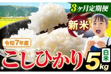 【3ヶ月定期便】令和7年産 新米 白米 こしひかり 5kg《お申込みの翌月出荷》熊本県産 ふるさと納税 白米 精米 ひの 米 こめ ふるさとのうぜい コシヒカリ コメ お米 おこめ