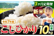 【3ヶ月定期便】令和7年産 新米 白米 こしひかり 10kg《お申込み翌月出荷》熊本県産 ふるさと納税 白米 精米 ひの 米 こめ ふるさとのうぜい コシヒカリ コメ お米 おこめ