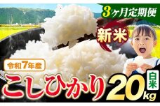 【3ヶ月定期便】令和7年産 新米 白米 こしひかり 20kg《お申込み翌月出荷》熊本県産 ふるさと納税 白米 精米 ひの 米 こめ ふるさとのうぜい コシヒカリ コメ お米 おこめ