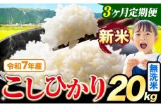 【3ヶ月定期便】令和7年産 新米 無洗米 こしひかり 20kg《お申込み翌月出荷》熊本県産 ふるさと納税 無洗米 精米 ひの 米 こめ ふるさとのうぜい コシヒカリ コメ お米 おこめ