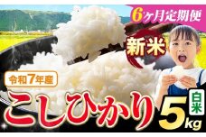 【6ヶ月定期便】令和7年産 新米 白米 こしひかり 5kg《お申込みの翌月出荷》熊本県産 ふるさと納税 白米 精米 ひの 米 こめ ふるさとのうぜい コシヒカリ コメ お米 おこめ
