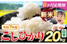 【6ヶ月定期便】令和7年産 新米 白米 こしひかり 20kg《お申込みの翌月出荷》熊本県産 ふるさと納税 白米 精米 ひの 米 こめ ふるさとのうぜい コシヒカリ コメ お米 おこめ