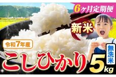 【6ヶ月定期便】令和7年産 新米 無洗米 こしひかり 5kg《お申込みの翌月出荷》熊本県産 ふるさと納税 無洗米 精米 ひの 米 こめ ふるさとのうぜい コシヒカリ コメ お米 おこめ