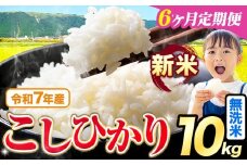 【6ヶ月定期便】令和7年産 新米 無洗米 こしひかり 10kg《お申込みの翌月出荷》熊本県産 ふるさと納税 無洗米 精米 ひの 米 こめ ふるさとのうぜい コシヒカリ コメ お米 おこめ