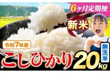 【6ヶ月定期便】令和7年産 新米 無洗米 こしひかり 20kg《お申込みの翌月出荷》熊本県産 ふるさと納税 無洗米 精米 ひの 米 こめ ふるさとのうぜい コシヒカリ コメ お米 おこめ
