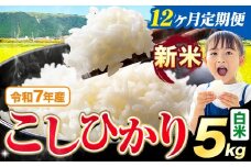 【12ヶ月定期便】令和7年産 新米 白米 こしひかり 5kg《お申込みの翌月出荷》熊本県産 ふるさと納税 白米 精米 ひの 米 こめ ふるさとのうぜい コシヒカリ コメ お米 おこめ